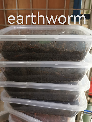 306 Choa Chu Kang Ave 4, #01-681, Singapore 680306