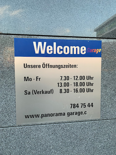 Rezensionen über Panorama Garage AG in Freienbach - Autowerkstatt