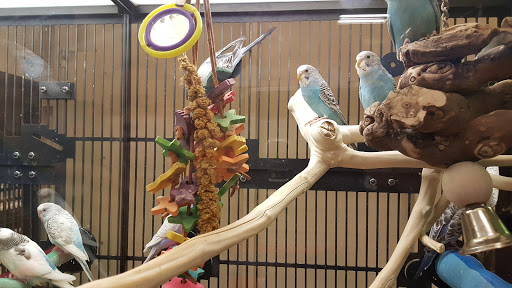 Pet Supply Store «PetSmart», reviews and photos, 901 US-1, North Brunswick Township, NJ 08902, USA