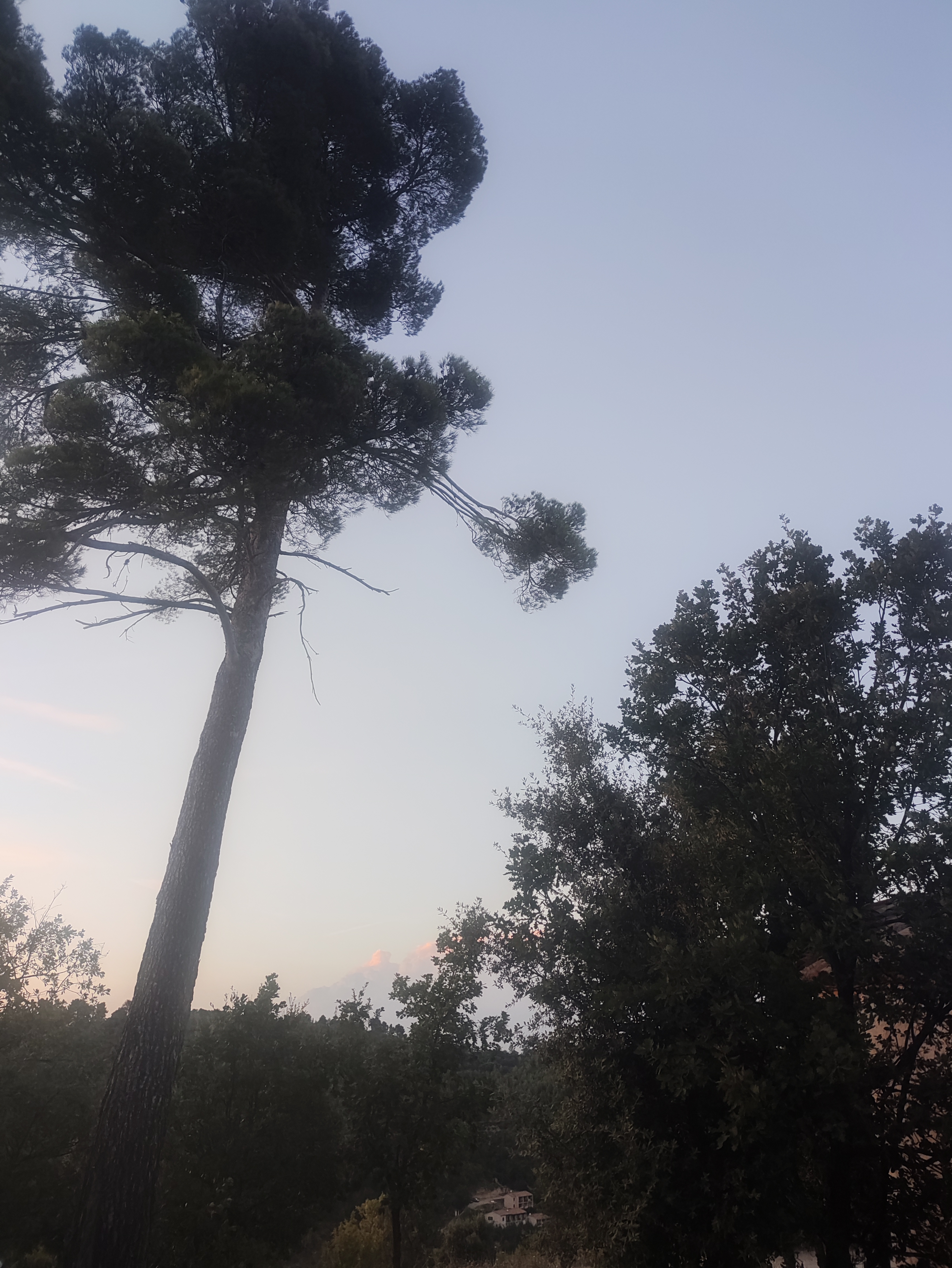 Photo n° 2 de l'avis de Eric.a fait le 19/08/2023 à 17:45