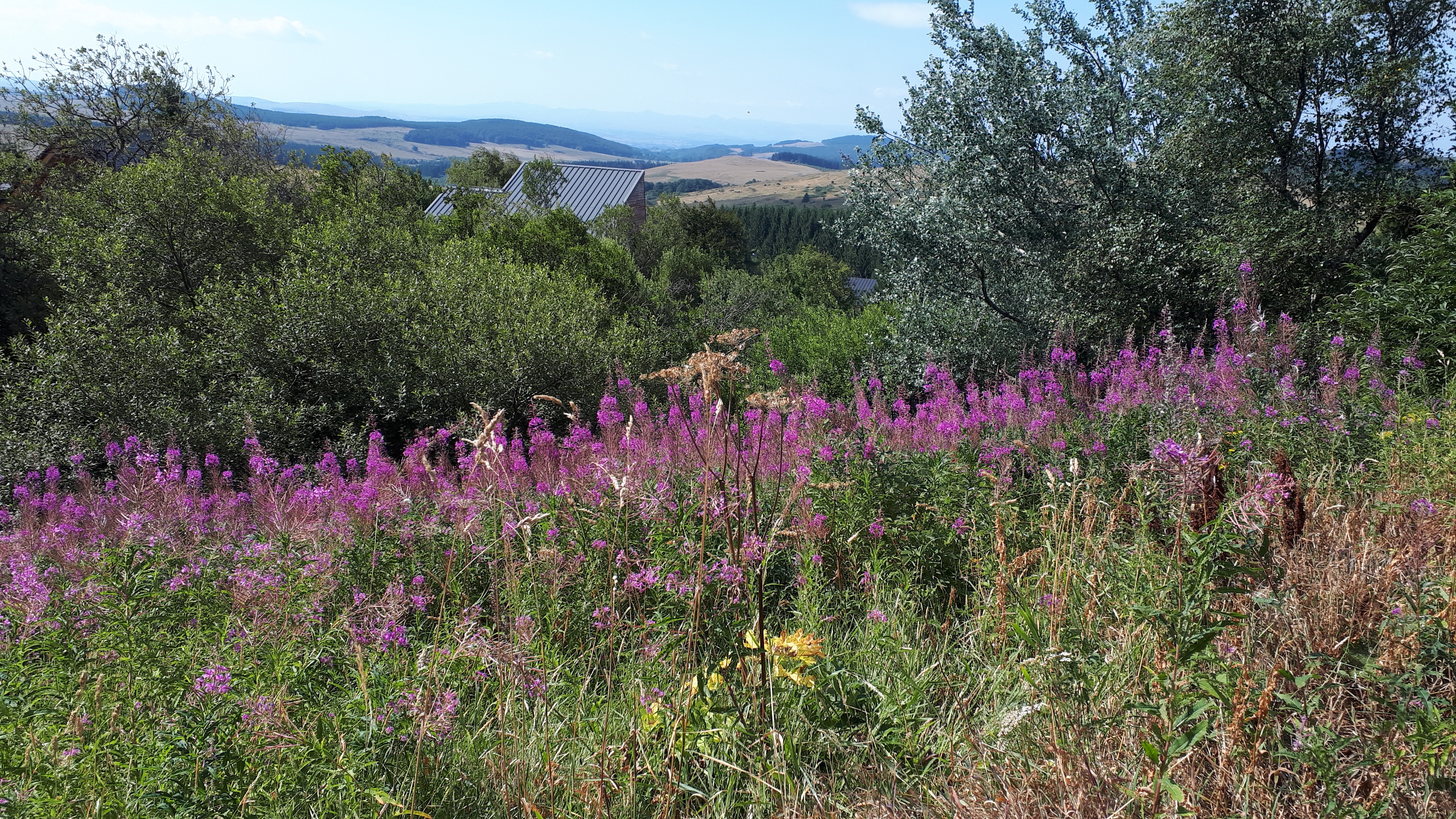 Photo n° 3 de l'avis de marie.u fait le 20/08/2019 à 11:55