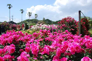 Kodomonokuni Garden image
