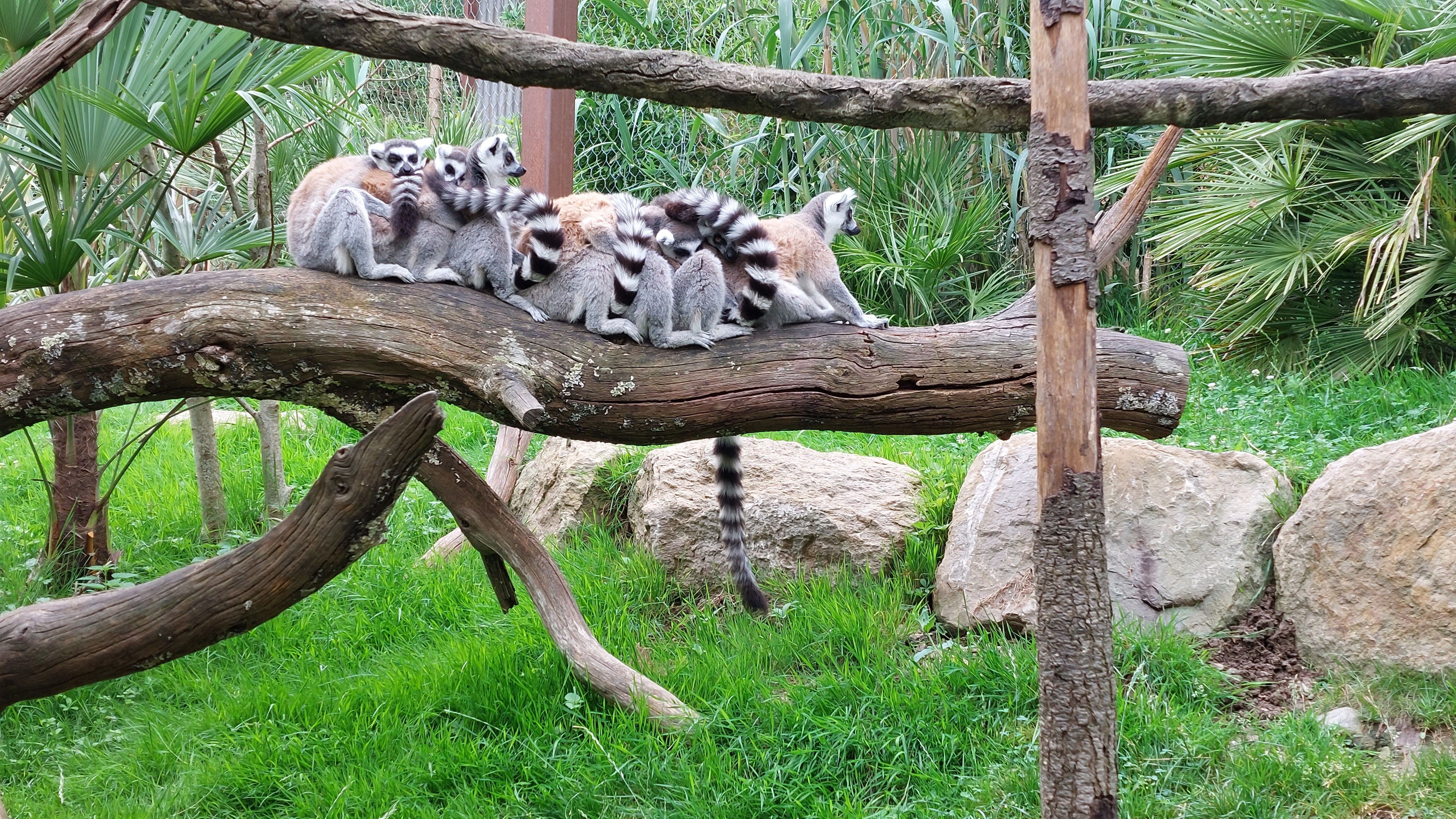 Photo n° 3 de l'avis de Frederick.e fait le 06/07/2022 à 18:45