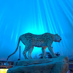 Photo n°2 de l'avis de Diego.i fait le 31/08/2022 à 20:21 sur le  Safari Giro Pizza à Lazise