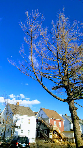 Shopping Mall «Ridgeway Shopping Center», reviews and photos, 2233 Summer St, Stamford, CT 06905, USA