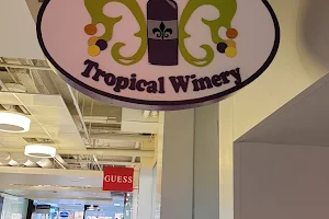 NOLA Tropical Winery image
