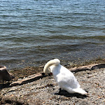 Photo n°2 de l'avis de Horst.i fait le 30/07/2020 à 18:21 sur le  Seehotel Litz à Langenargen