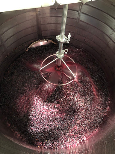 Winery «Eden Hill Winery and Vineyard», reviews and photos, 4910 Eden Hill Ln, Celina, TX 75009, USA