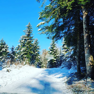 Gaec Du Petit Paris à Les Premiers-Sapins
