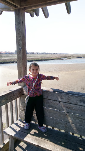 Park «Sanford D. Cox, Sr. Community Park», reviews and photos, 470 Elizabeth Dr, Murrells Inlet, SC 29576, USA