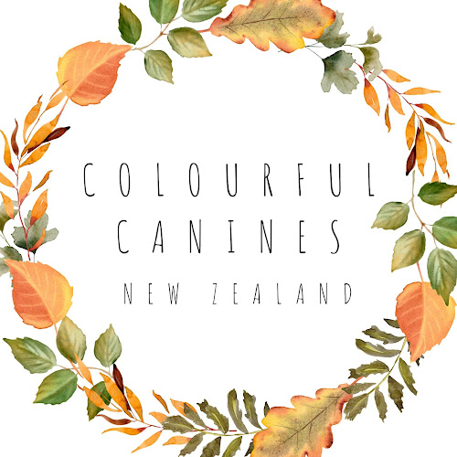 Colourful Canines New Zealand - Dog trainer