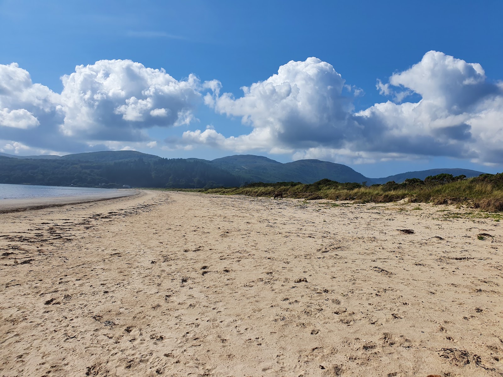 Carradale Bay Beach的照片 带有明亮的沙子表面