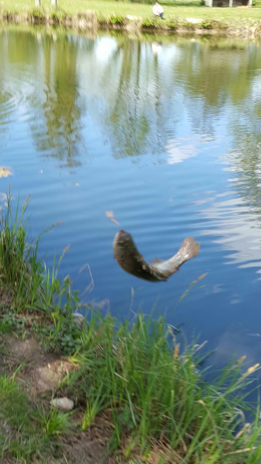 Photo n° 1 de l'avis de Octavian.i fait le 08/10/2017 à 10:12