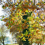 Photo n° 4 de l'avis de Katia.o fait le 10/12/2022 à 15:58 pour Étang des quatre vents à Pipriac