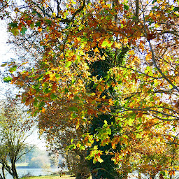 Photo n°8 de Étang des quatre vents à Pipriac ()