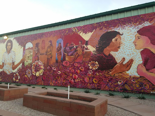 Women's organization Tucson