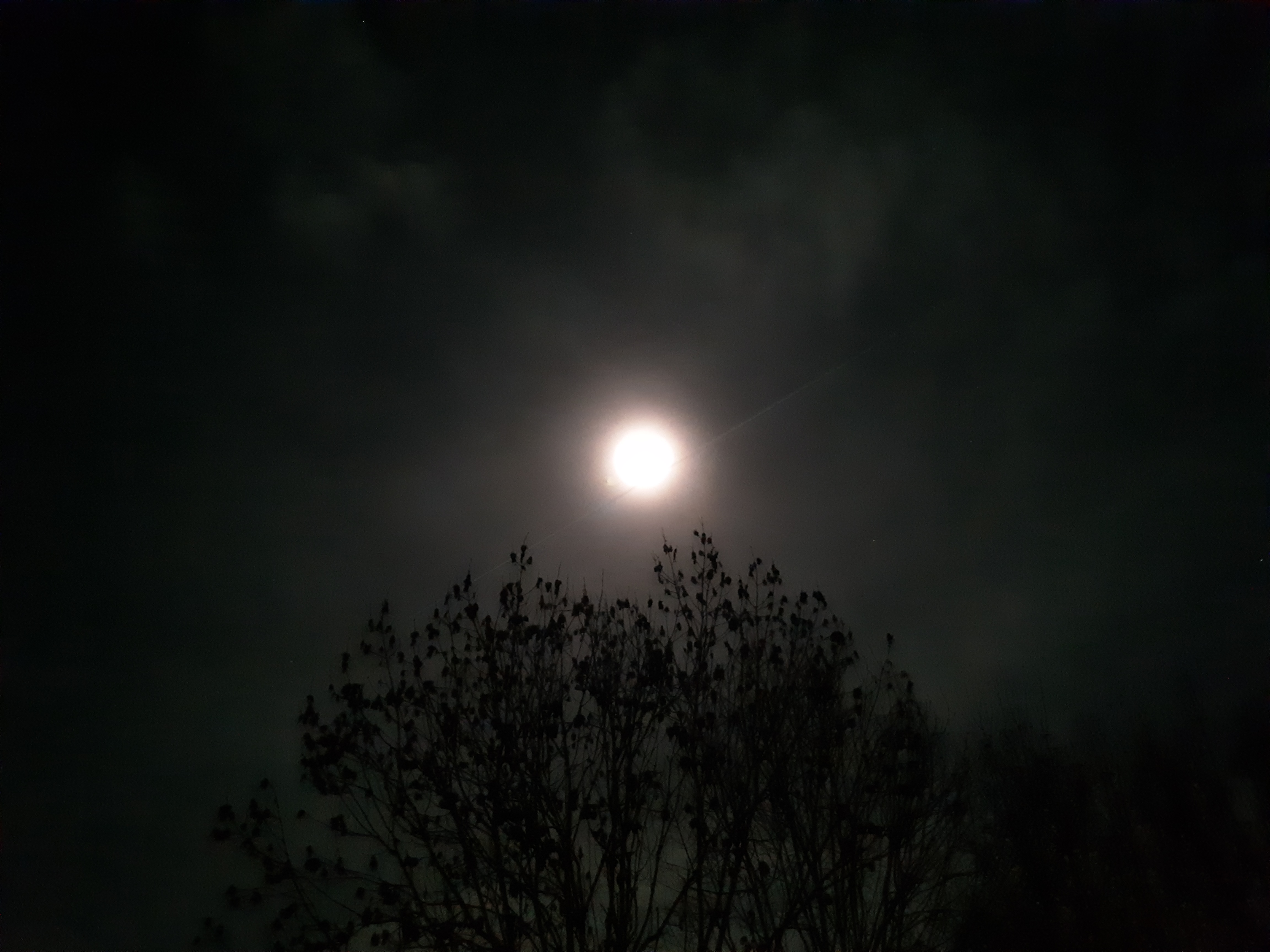 Photo n° 8 de l'avis de JÉJÉ. fait le 29/12/2018 à 13:48
