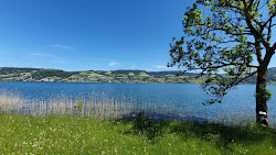 Bergwald Beach'in fotoğrafı vahşi alan