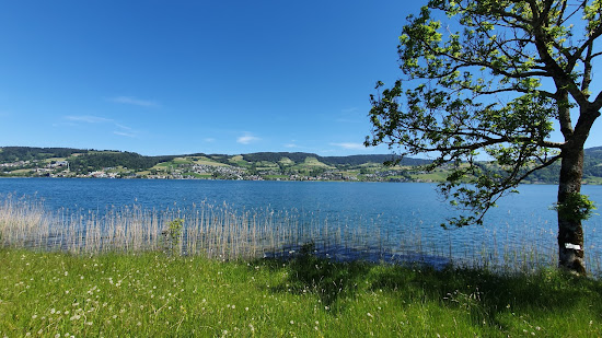 Bergwald Beach