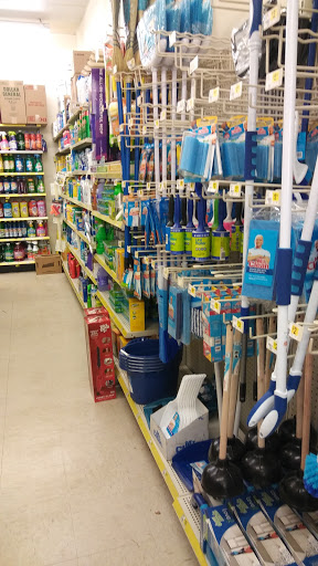 Discount Store «Dollar General», reviews and photos, 3901 Fort St, Wyandotte, MI 48192, USA