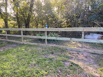 JR lawn service - Photo 9 - Car repair in La Marque, TX, Galveston