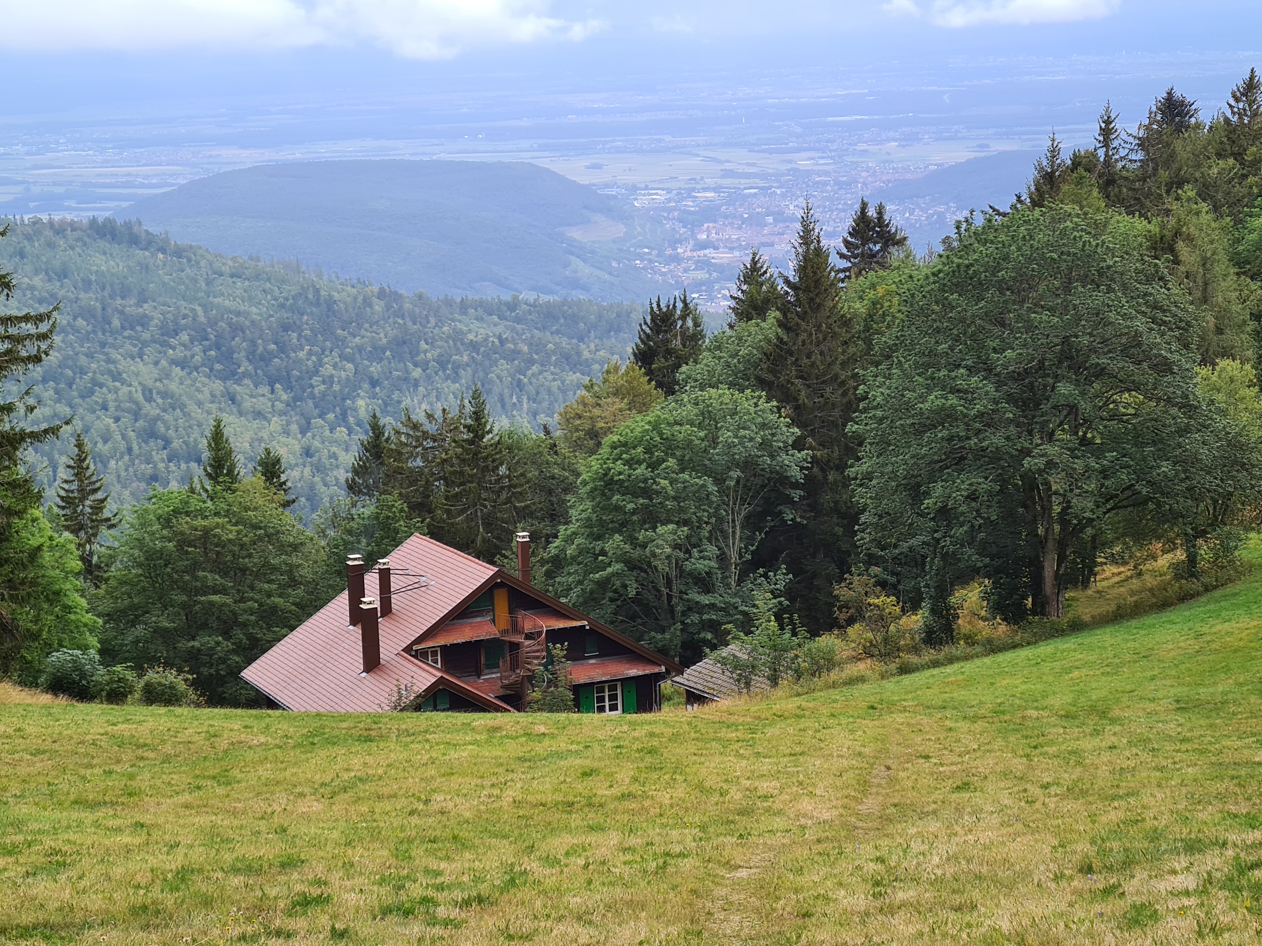 Photo n° 1 de l'avis de Lucien.e fait le 30/08/2020 à 15:58