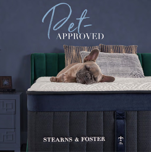 Bed Shop «The Mattress Experts», reviews and photos, 3525 NW Bascom Norris Dr, Lake City, FL 32055, USA