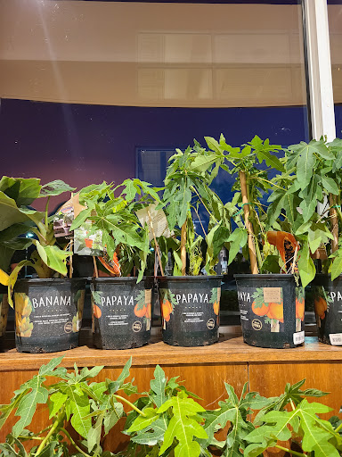 Grocery Store «Whole Foods Market», reviews and photos, 11701 Lake Victoria Gardens Ave, Palm Beach Gardens, FL 33410, USA