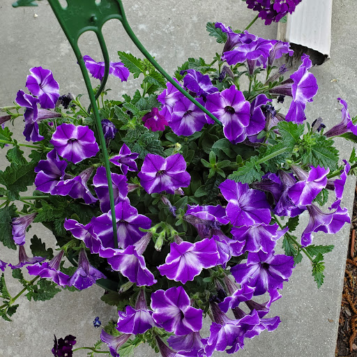 Home Improvement Store «The Home Depot», reviews and photos, 20777 Hall Rd, Macomb, MI 48044, USA