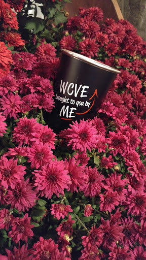 Beverage Distributor «Blue Bee Cider», reviews and photos, 1320 Summit Ave, Richmond, VA 23230, USA