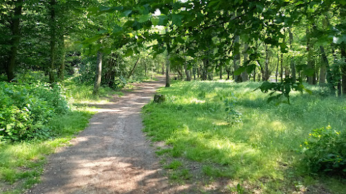 Bois des copistes à Montigny-lès-Cormeilles