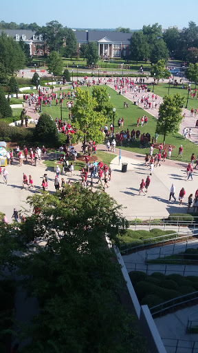 Stadium «Bryant-Denny Stadium», reviews and photos, 920 Paul W Bryant Dr, Tuscaloosa, AL 35401, USA