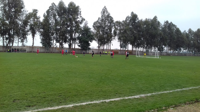 Opiniones de Club Deportes Provincial Curicó Unido en Curicó - Campo de fútbol