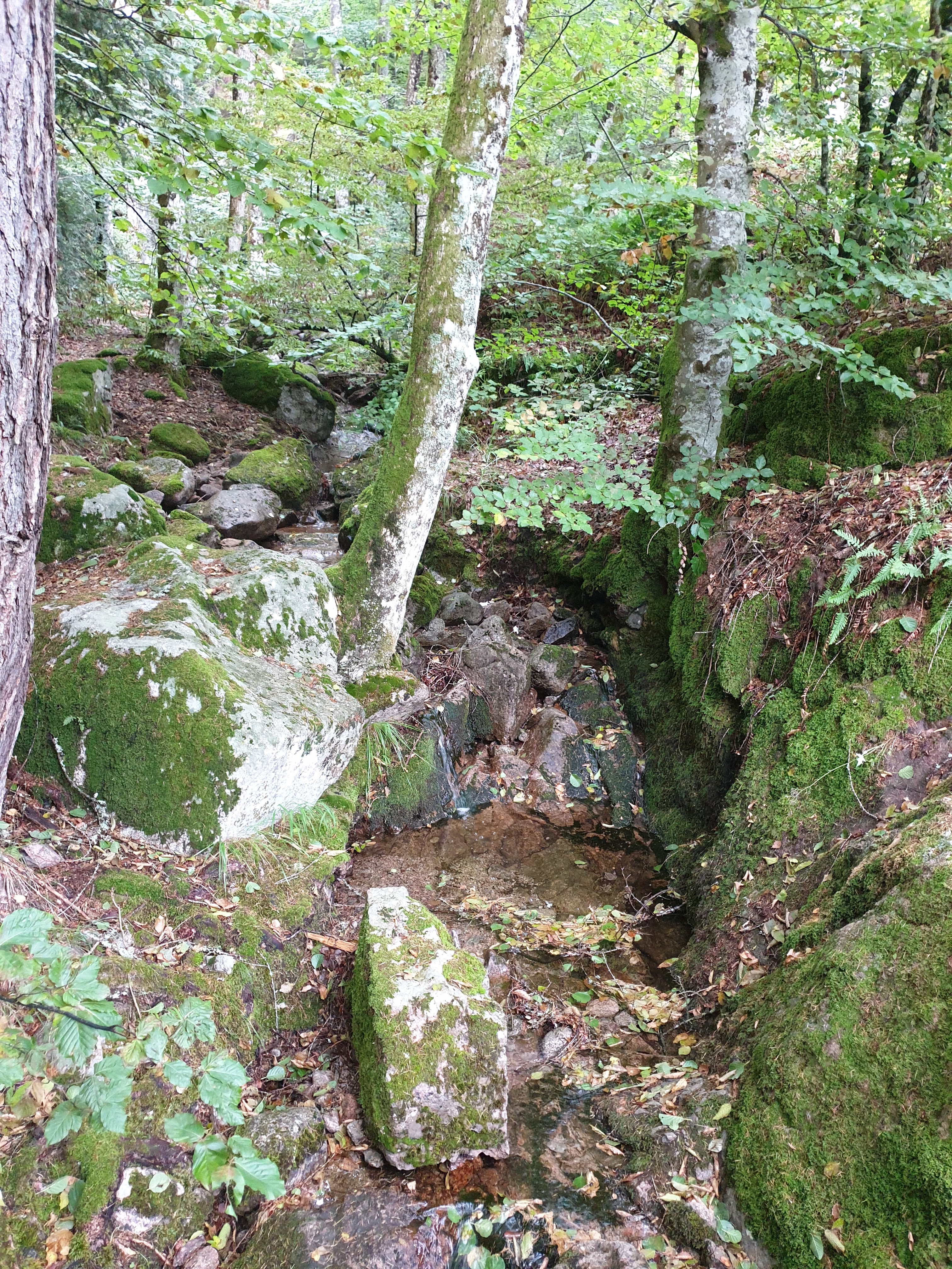 Photo n° 27 de l'avis de Christophe.r fait le 28/07/2019 à 18:55