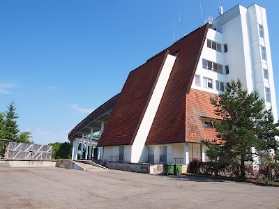Photos of Aleta
