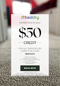 BestDry - Photo 2 - Car repair in Nepean, ON, Canada, Syracuse