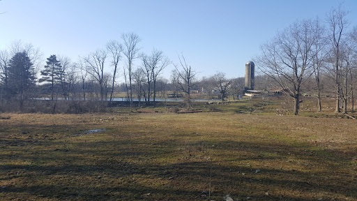 Nature Preserve «Sadsbury Woods Preserve», reviews and photos, Ramblewood Dr & Northwood Dr, Coatesville, PA 19320, USA