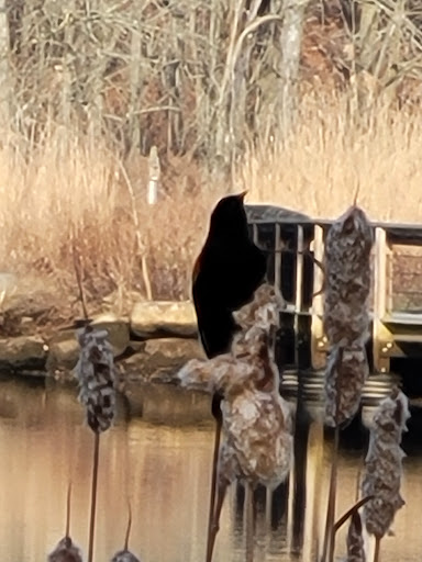 Park «Edgewood Park», reviews and photos, Edgewood Ave, New Haven, CT 06511, USA