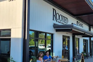 Rooted Bottle Market And Bar image