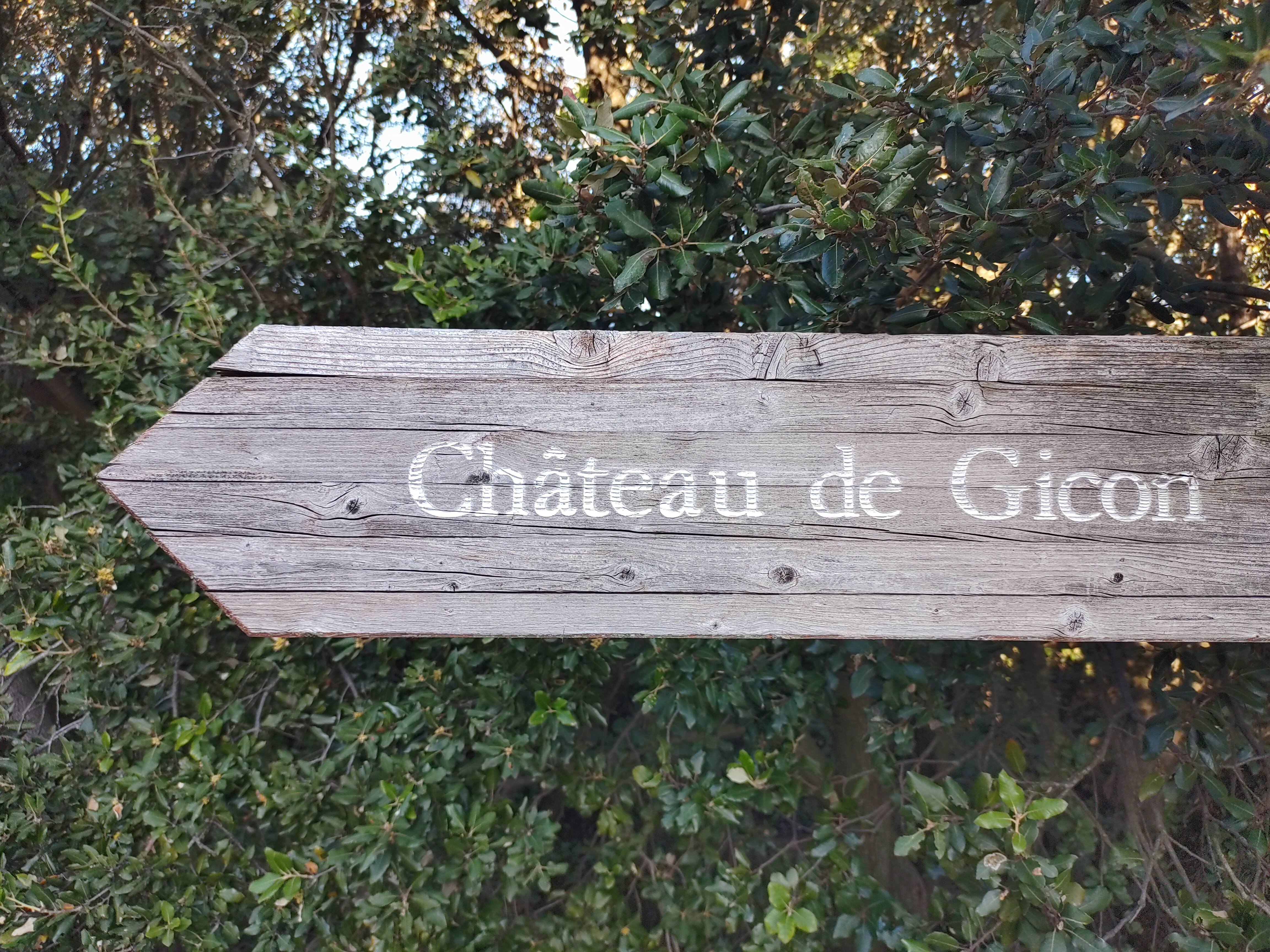 Photo n° 2 de l'avis de Bernhard.e fait le 11/05/2022 à 17:48