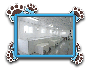 Pet Store «AA Ridgewood Kennels II», reviews and photos, 5401 Lincoln Hwy, Gap, PA 17527, USA