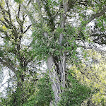 Photo n°4 de l'avis de iclal.e fait le 24/07/2020 à 11:15 sur le  Hotel Monti à Lamporecchio