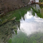 Photo n°3 de l'avis de Stefanie.o fait le 18/04/2019 à 07:22 sur le  Bio-Gasthof Friedrichshöhle (by TressBrüder) à Hayingen