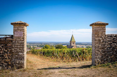 Domaine Pierre Gelin à Fixin