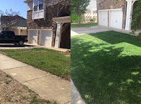 Carolina Turf LLC - Photo 5 - Car repair in , Cary