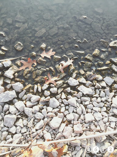 Park «Prairie Park», reviews and photos, 431 Knollwood Dr, Barrington, IL 60010, USA