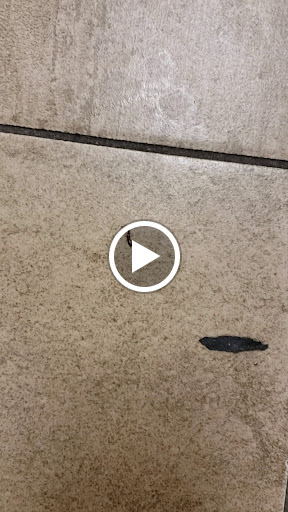 Health Club «XSport Fitness», reviews and photos, 222 Commons Dr, Chicago Ridge, IL 60415, USA