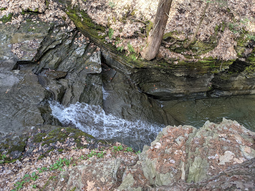 Nature Preserve «Sweedler and Thayer Preserves», reviews and photos, 10 Townline Rd, Ithaca, NY 14850, USA