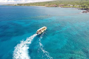Maui Snorkel Charters image