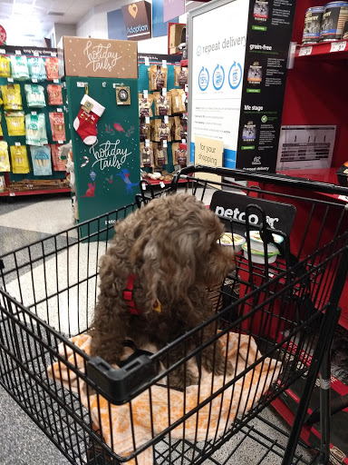 Pet Supply Store «Petco Animal Supplies», reviews and photos, 2000 NE Burnside Rd, Gresham, OR 97030, USA